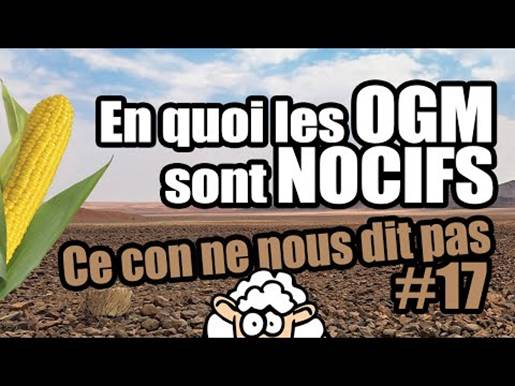 Résultats de recherche d'images pour «�&nbsp;OGM l'enjeu planétaire � Réalisé par Catherine Berthillier�&nbsp;»